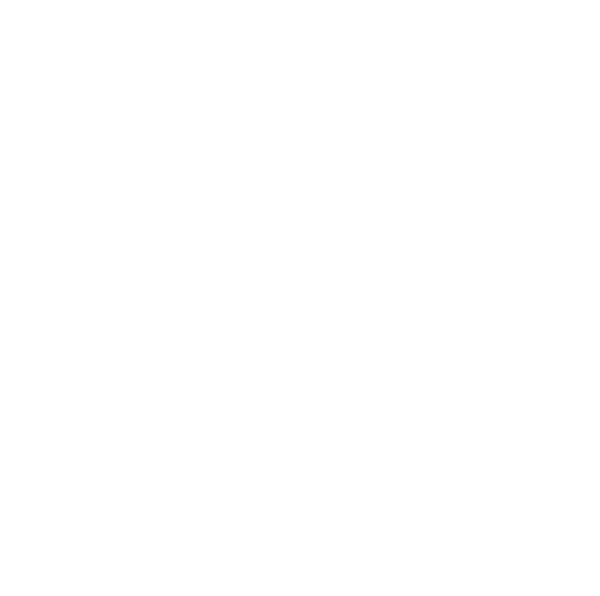 Salt Hill Pub logo